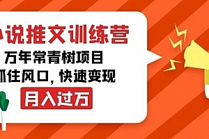 小说推文&训练营