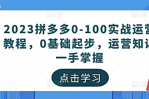 2023拼多多0-100实战运营教程,0基础起步,运营知识一手掌握