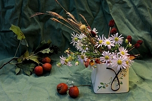 手机摄影技巧-宅在家里用手机拍出高级感静物照片