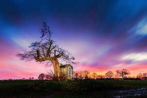 手机摄影技巧-零基础学会用手机拍出极致风光大片