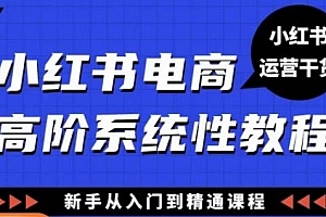 小红书电商高阶系统教程,新手从入门到精通系统课