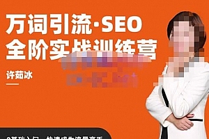 许茹冰·万词引流-SEO全阶实战训练营,0基础入门,快速成为流量高手