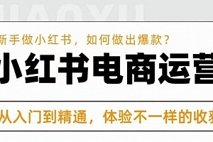 红商学院·小红书电商运营课,新手做小红书如何快速做出爆款,从入门到精通