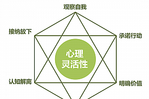 ACT疗法实录与访谈(创始人亲授)