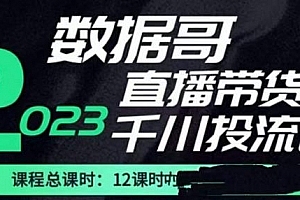 数据哥2023直播电商巨量千川付费投流实操课,快速掌握直播带货运营投放策略