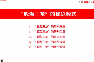量学云讲堂刘智辉《量学识庄·伏击涨停》40期 量波段位课七段