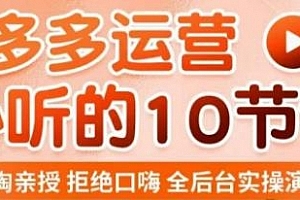 老陶电商·拼多多运营必听10节课,拒绝口嗨,全后台实操演示,花的少,赚得多,爆款更简单