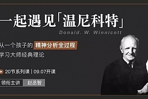 赵丞智 一起遇见温尼科特20节系列课