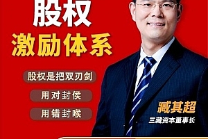 臧其超:股权激励体系(爆款视频课)