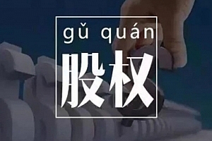 臧其超-股权设计与盈利体系 20节视频