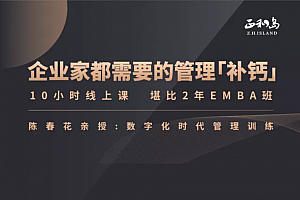 陈春花《数字化时代的管理训练》(30年管理智慧)20集视频