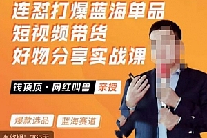 网红叫兽·连怼打爆蓝海单品,短视频带货好物分享实战课