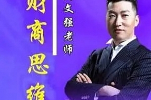 周文强 顶级财商思维课 22集视频