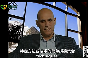 斯蒂文 海斯 ACT 控制&接纳 视频5集