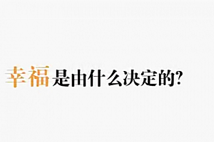陈果《幸福的决定要素》