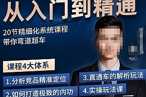 龙一·从入门到精通拼多多运营系列课,0-100的运营实操技巧,精细化系列课程带你弯道超车