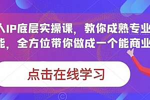 蟹老板·打爆个人IP底层实操课,教你成熟专业的打造IP技能,全方位带你做成一个能商业化IP