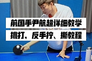 中国国家乒乓球队国手尹航教学_尹航