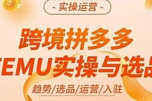 伍跃·跨境拼多多TEMU实操与选品,趋势/选品/运营/入住(27节完整)