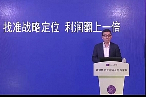 顾均辉-找准战略定位·利润翻上一倍 4节