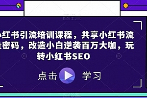 小红书引流培训课程,共享小红书流量密码,改造小白逆袭百万大咖,玩转小红书SEO