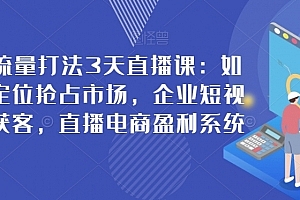 新商业流量打法3天直播课:如何升级定位抢占市场,企业短视频精准获客,直播电商盈利系统