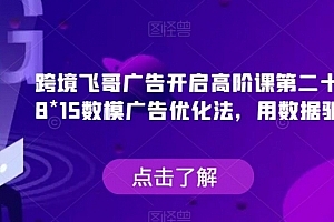 跨境飞哥广告开启高阶课第二十四期,8*15数模广告优化法,用数据驱动决策