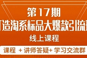 南掌柜-第17期打造淘系标品大爆款,5天线上课