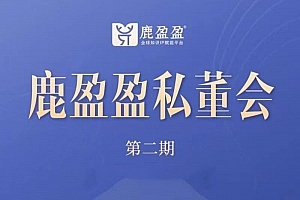 (鹿大米)鹿盈盈私董会密训【第二期】3节