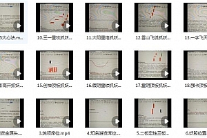 【骆驼子涵】《量学一线破天机,二点定乾坤的抓妖系统课》