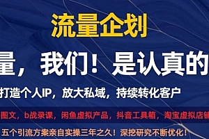 流量企划,打造个人IP,放大私域,持续转化客户【揭秘】