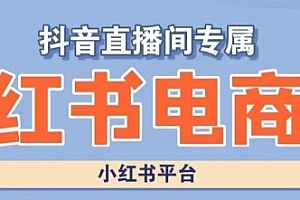 小红书电商高级运营课程,实操教学+案例分析
