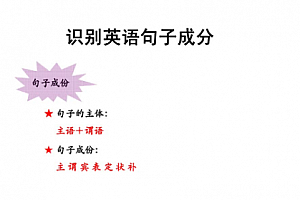 初中英语难点语法专项突破--句型类