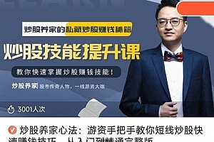 【炒股养家心法】《游资手把手教你短线炒股快速赚钱技巧,从入门到精通完整版》