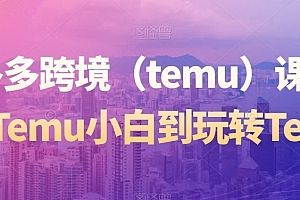 拼多多跨境(temu)课程,从Temu小白到玩转Temu