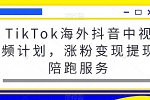TikTok海外抖音中视频计划,涨粉变现提现陪跑服务