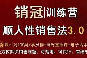 爆款!销冠训练营3.0之顺人性销售法,全方位解决销售难题、可落地、可执行、有结果
