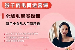 猴子电商小红书电商运营课,从入门到精通,全域电商实操课
