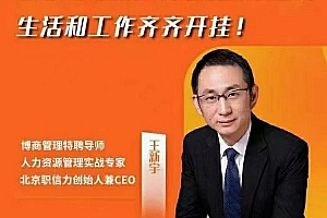 《王新宇·流程性思维课》~—套生活工作识人办事的底层逻辑
