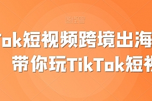 TikTok短视频跨境出海撸美金,带你玩TikTok短视频