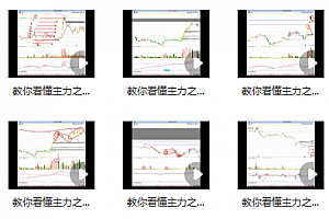 量学大讲堂-老耐-量学贯通战法直播 教你看懂主力视频课 8视频