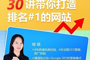 谷歌SEO从入门到精通,30讲带你打造排名#1的网站
