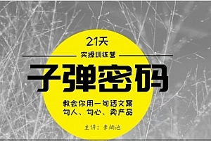 李炳池-21天《子弹秘密》训练营 21天学到顶尖文案大师的策略和技巧