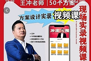 王冲老师50个行业现场设计方案50个方案实录商业模式