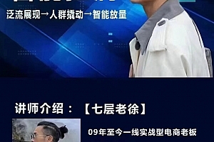 七层老徐·2024无界推广高阶课件,智能拉满,泛流量展现→人群撬动→智能放量