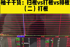 大柚子笔记大柚子 精选干货视频课程