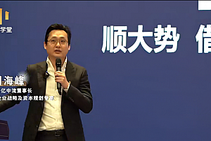 刘海峰老师顺势借力——企业高维战略方法论(58节)