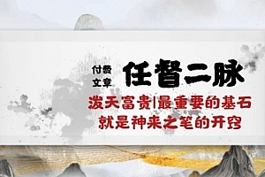 某付费文章《任督二脉 泼天富贵|最重要的基石 就是神来之笔的开窍|万字》