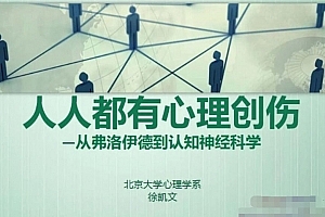 徐凯文从弗洛伊德到认知神经科学——人人都有心理创伤微课10讲音频+课件