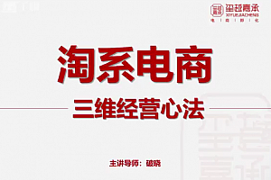 淘宝电商三维经营心法:电商运营和电商老板必看课